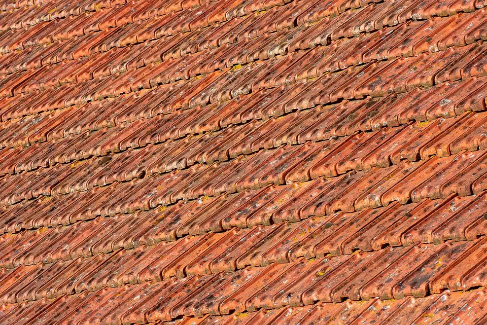 Sunlit terracotta roof tiles up close
